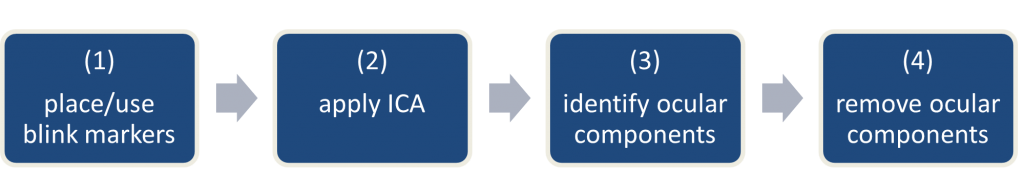 Figure 2 Ocular Correction ICA 
