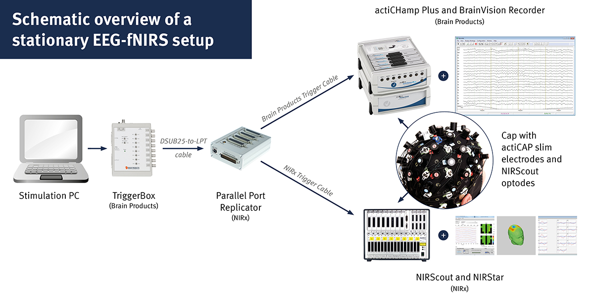EEG-fNIRS Stationary Setup with actiCHamp and NIRx